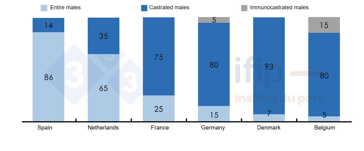 <p>Breakdown of pig&nbsp;slaughter&nbsp;according to entire, castrated, or immunocastrated male pigs.</p>
